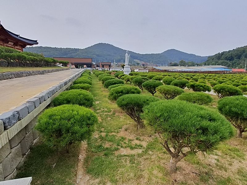 김포수목장B