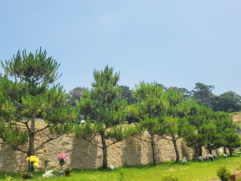 화성수목장