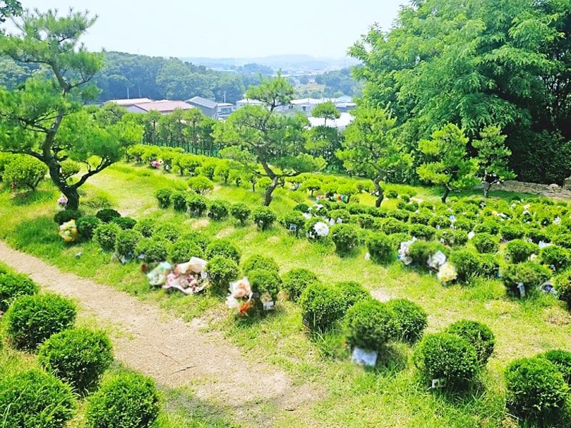 일산수목장A