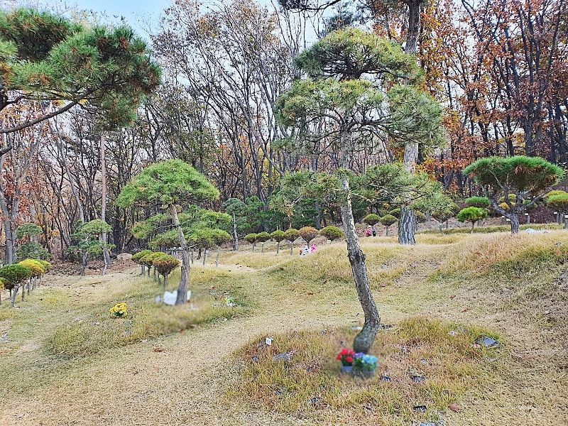 일산수목장A