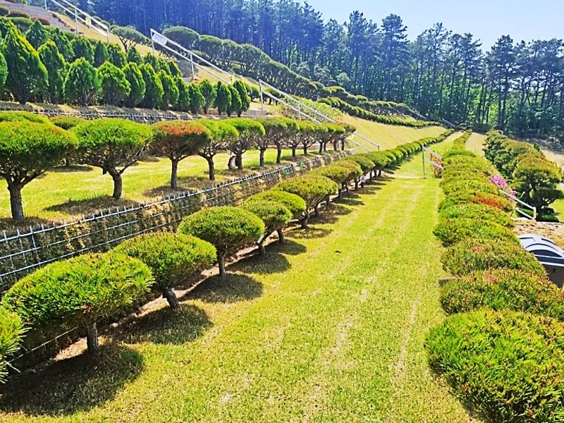 일산수목장B