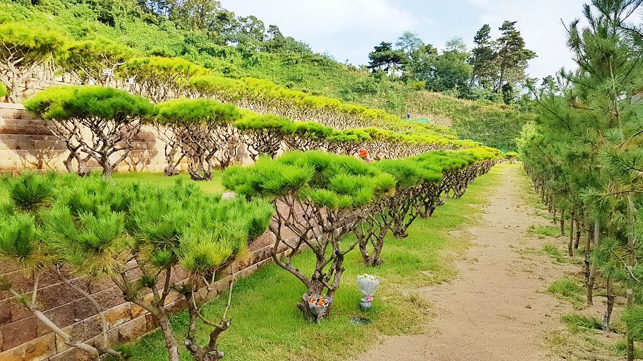 평택수목장