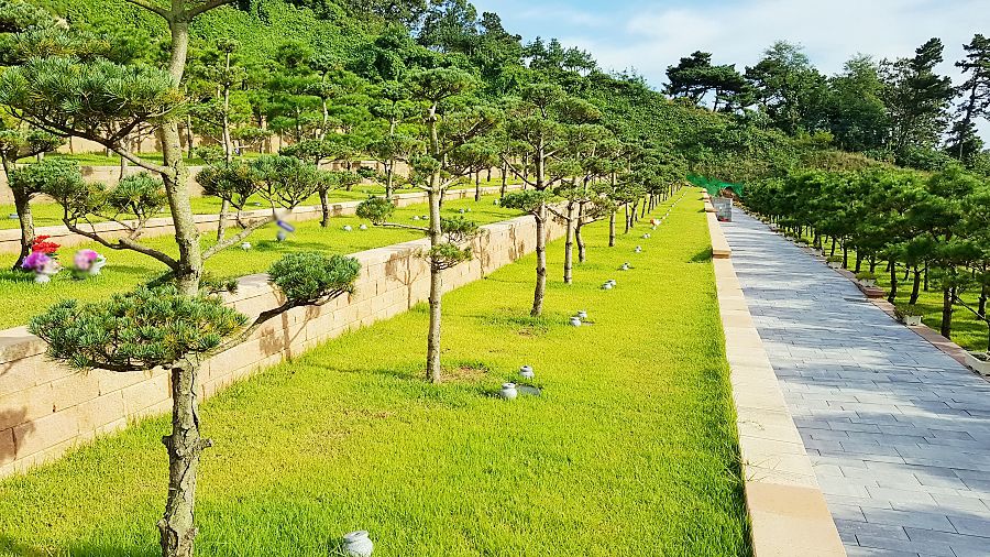 평택수목장