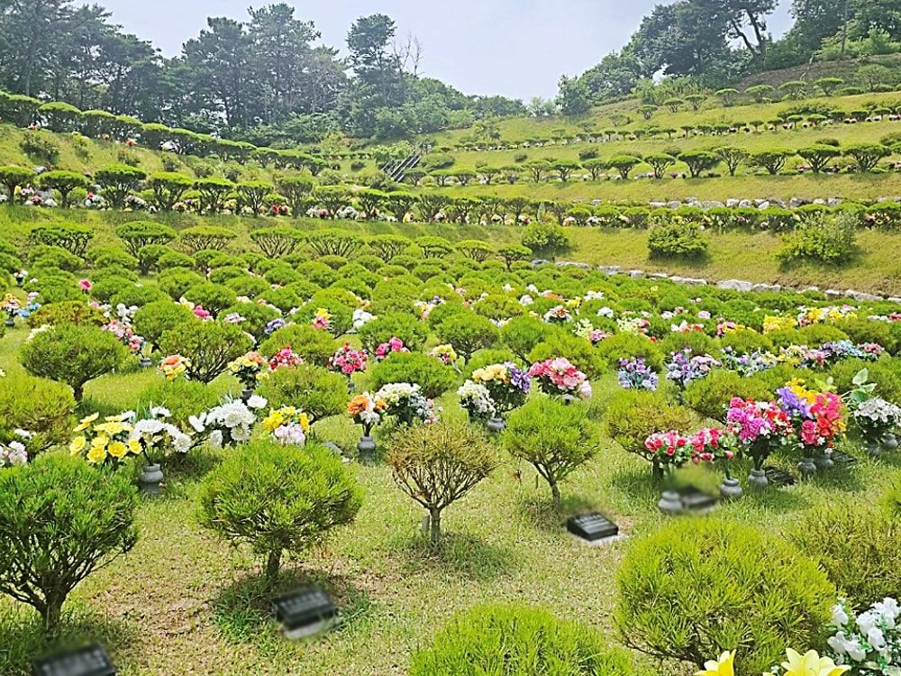용인수목장A