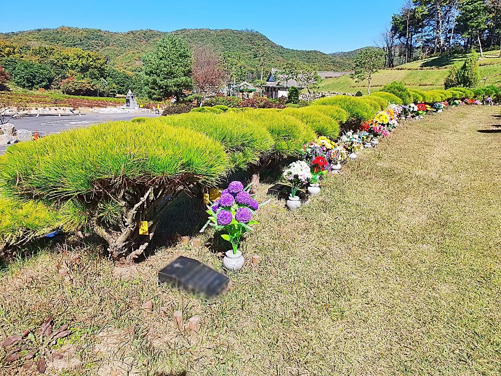 용인수목장A